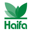HAIFA Group